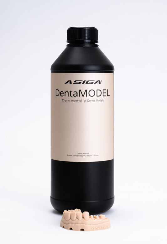 ASIGA DentaMODEL